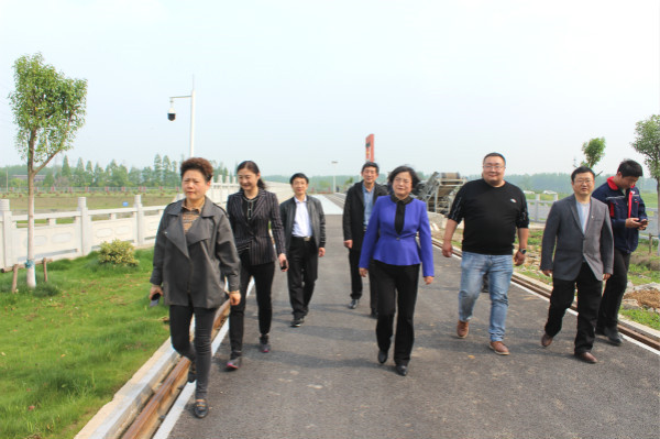 淮南副市長陸晞來鳳臺(tái)督查河長制林長制落實(shí)情況