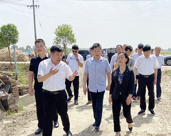 淮南市人大來(lái)鳳調(diào)研民族鄉(xiāng)村振興工作