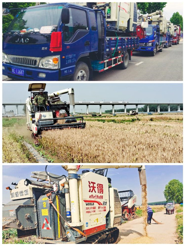 淮南毛集實驗區(qū)開機收麥