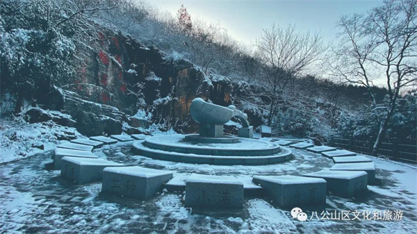 【圖說淮南】——雪來了，你期待嗎？