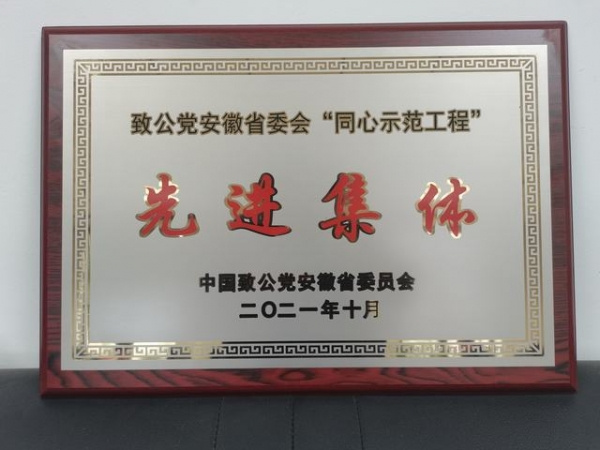 喜報！致公黨淮南市委會“同心示范工程”工作獲致公黨省委會表彰