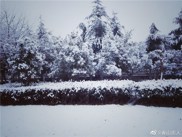 【圖說淮南】——2022年淮南第一場雪！來的遲嗎？
