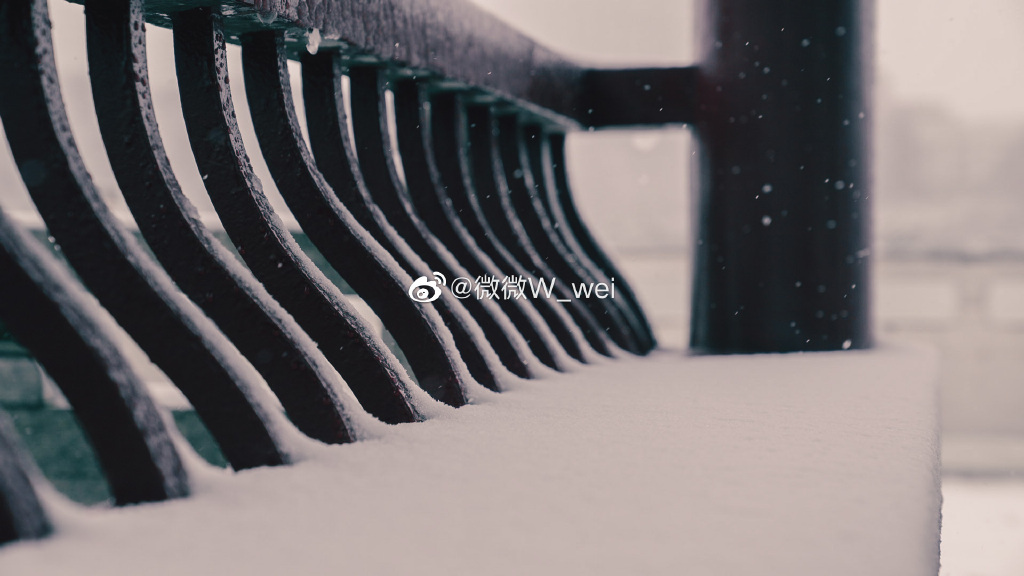 【圖說淮南】——太棒了！淮南龍湖公園的雪景你看過嗎！